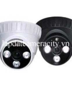 camera ricotech RT D303A